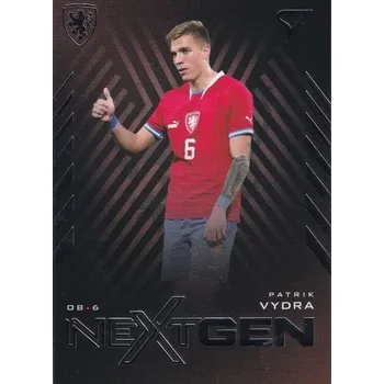 Sběratelský sportovní předmět insert karta PATRIK VYDRA 2024 Hrdí Lvi NextGen číslo NG-4