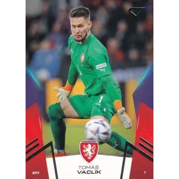 Sběratelský sportovní předmět řadová karta TOMÁŠ VACLÍK 2024 Hrdí Lvi číslo 06