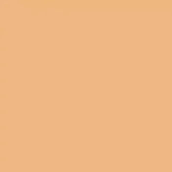 Omítka Silikonová omítka Baumit Silikontop 3,0 mm 25 kg – odstín 0295