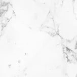 Dlažba Mrazuvzdorná Real 60/60