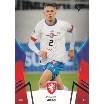 Sběratelský sportovní předmět řadová karta DAVID ZIMA 2024 Hrdí Lvi číslo 17