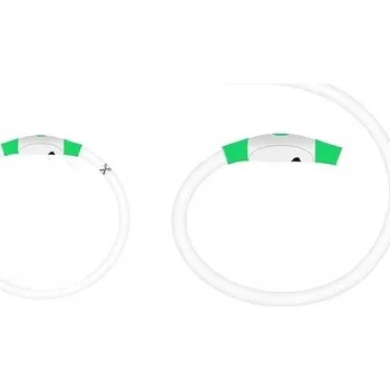 Obojek pro psa Svítící LED obojek pro psa, voděodolný, nastavitelný do 70 cm, zelený