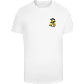 Urban Classics Pánské tričko s krátkým rukávem Eiqif bílá XXL