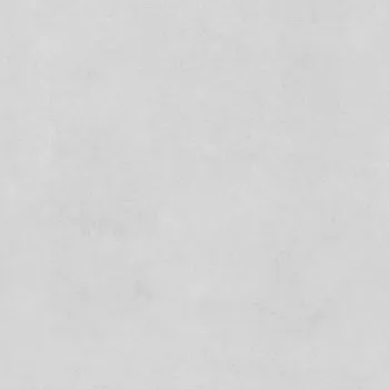 Dlažba Dlažba Frost Rustic 60/60 Rekt.