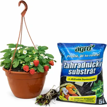 Set pro pěstování jahod v závěsném květináči Barva: Červená