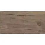 Dlažba Porto Brown 30/60