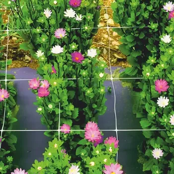 Stahovací páska Podpůrná síť pro rostliny 8g/m2 15x17 mm 2x10 m