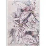 Koberec Stella 1,4/1,9 9718A krémový