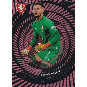 Sběratelský sportovní předmět insert karta TOMÁŠ VACLÍK 2024 Hrdí Lvi Dimension číslo DM-02