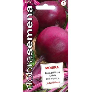 Semeno Semena - ŘEPA SALÁTOVÁ 'MONIKA' (ČERVENÁ ŘEPA)