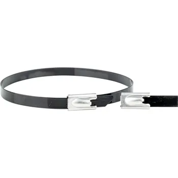 Organizace kabelů WKK ART006226, Nerezová stahovací páska, 4.60 mm, 290 mm, černá, 1 ks