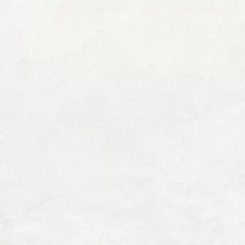 Dlažba Dlažba Terra Blanco 60/60