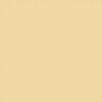 Omítka Silikatová omítka Baumit Silikattop 1,5 mm 25kg – odstín 0206