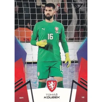 Sběratelský sportovní předmět řadová karta TOMÁŠ KOUBEK 2024 Hrdí Lvi číslo 01