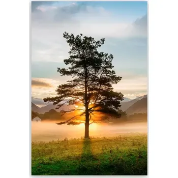 Obraz Obraz Glasspik 50x70 GL374 Lone Tree