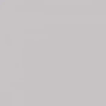 Omítka Akrylová omítka Baumit Granoportop 2,0 mm 25 kg – odstín 0907