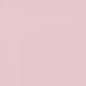 Fasádní barva SilikonColor Baumit 5 l - odstín 0608