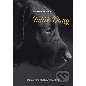 Kniha Tulák Dany - Beatrix Horváthová Elist