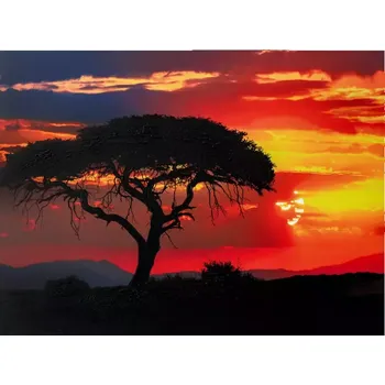 Obraz Obraz K-P5726N-2C 120x90x3,5