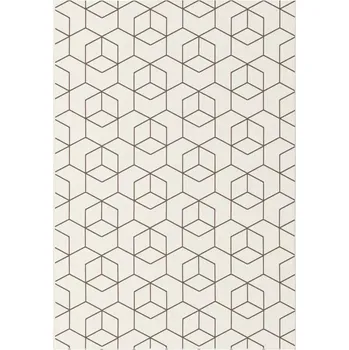 Koberec Koberec Essenza 1,2/1,7 48655 768