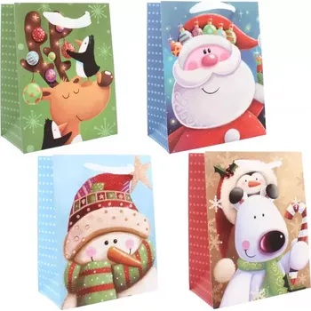 Dárková taška 23x18x10 cm BAG0881