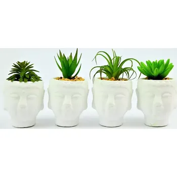 Koupelnový nábytek Sukulent 13-15cm mix 95794