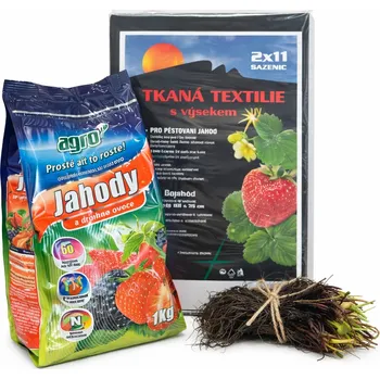 Semeno Sada pro pěstování jahod