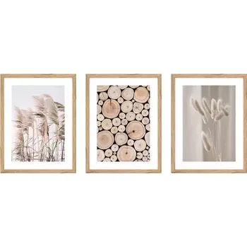 Obraz Obraz set 006 kno3040.061+062+063 l.13.15.038