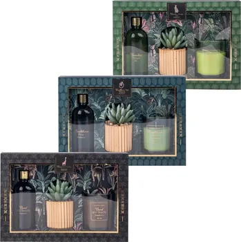 Svíčka Sada dárková Sklo 1 ks vonná svíčka diffuser kaktus cementový květináč mix 62 x 75 mm