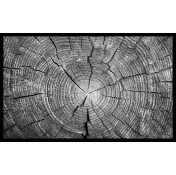 Rohožka Trunk 50x80 02010003