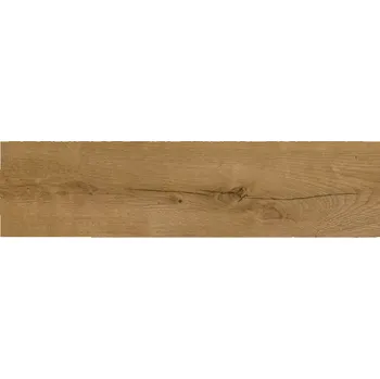 Dlažba Dlažba Bristol Gold 15,5/62