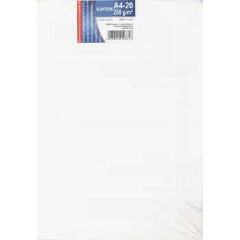 Papír Papíry na VÝTVARKU Ozdobný papír na dekorace KARTON A4 20 listů BÍLÝ Mega