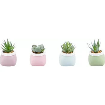 Zahradní dekorace Sukulentní 7-10cm mix 93061