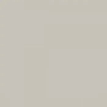 Fasádní barva SilikonColor Baumit 14 l - odstín 0937