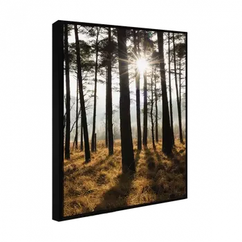 Obraz Obraz sb70x100.019l18.37.001 5901554554023