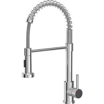 Vodovodní baterie Kuchyňská dřezová baterie QUADRON SALMA NEW s pružinovou hadicí a sprchou chrom