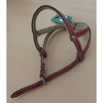 Postroj pro psa Postroj kůže 42000 červený