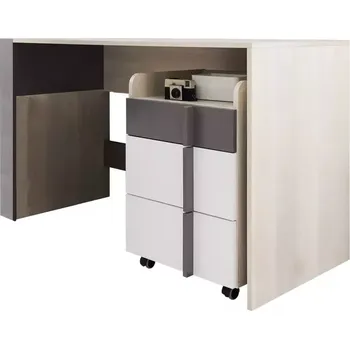 Psací stůl Psací stůl Remo RM10 dub wilton/bílá/antracit