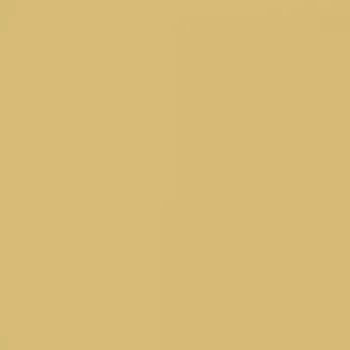 Fasádní barva SilikonColor Baumit 14 l - odstín 0144