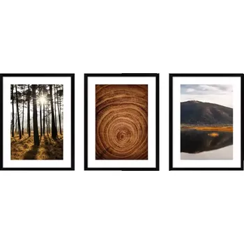 Obraz Obraz set 002 kno3040.055+056+057 l.13.15.051 černá