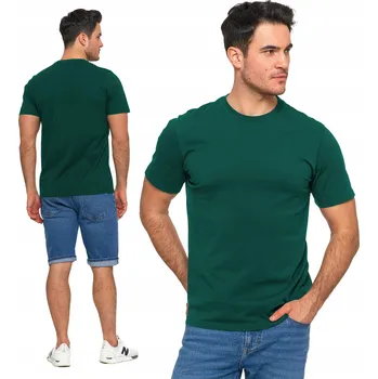 Pánské tričko PÁNSKÉ TRIČKO MORAJ HLADKÉ TRIČKO S KRÁTKÝM RUKÁVEM JEDNODUCHÉ KLASICKÉ 6XL