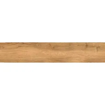 Dlažba Dlažba Illinois Roble 23,3/120