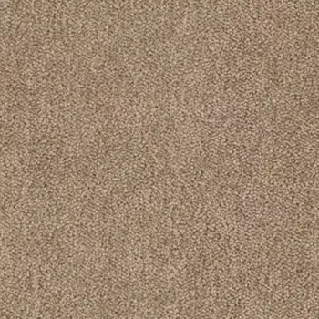 Koberec Kobercová Krytina 4m Dragon 10431