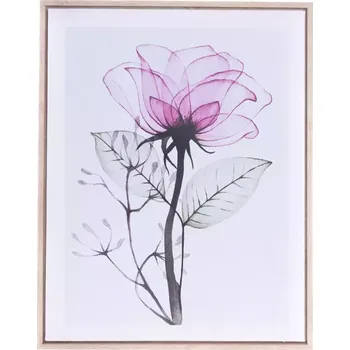 Obraz Obraz na plátně v rámu 40x50x2.5cm