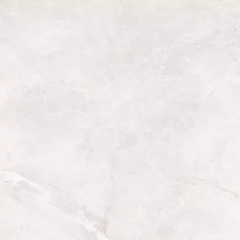 Dlažba Dlažba Mersion Silver 60/60