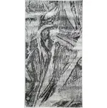 Koberec Daisy 1.33/1.9 C357X 23R48 Seda