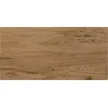 Dlažba Ashville Brown 29,7/59,8