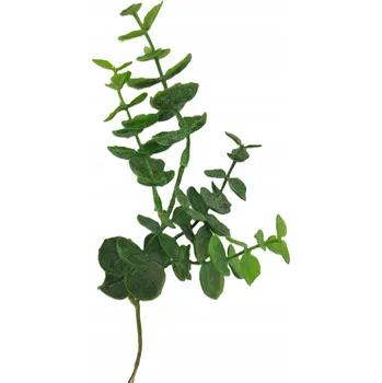 umělá květina Větvička DO STROIKA Eukalyptus borůvka 26 cm 1 ks Velikonoce, SVATBA