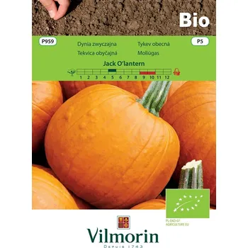 Semeno Tykev obecná Jack O'lantern (Halloween) BIO