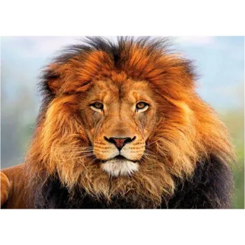 Výtvarná sada MyCreativ Diamantové malování, obrázek, LEV,30x40cm